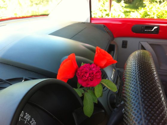 blommor i bilen