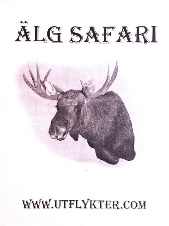 älgen