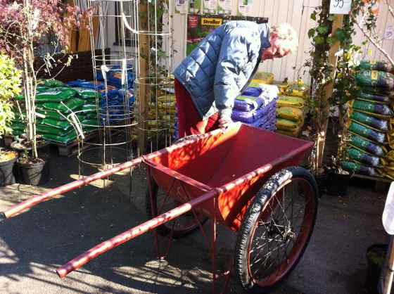 trädgårdföreningen, kinesisk kärra