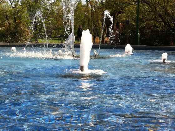 trädgårdsföreningen vatten