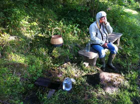 Hälle källa och Rurik