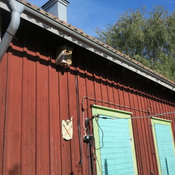 vid dörren, bålgetingar