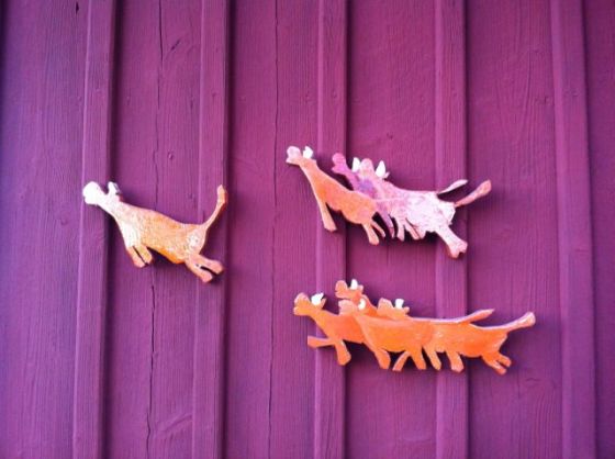 Sörens flygande kossor