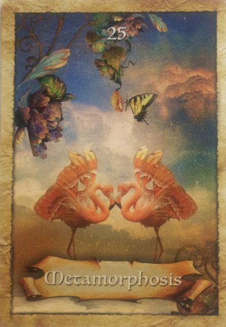 ett orakelkort, Cloette