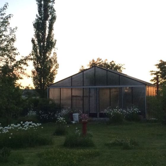växthusen