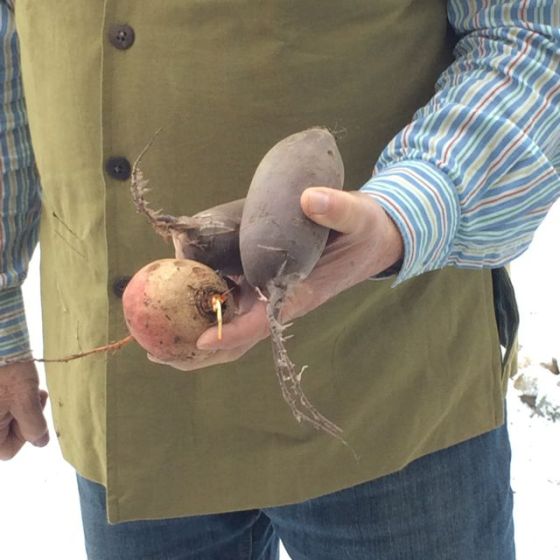 Rurik, rötter nära