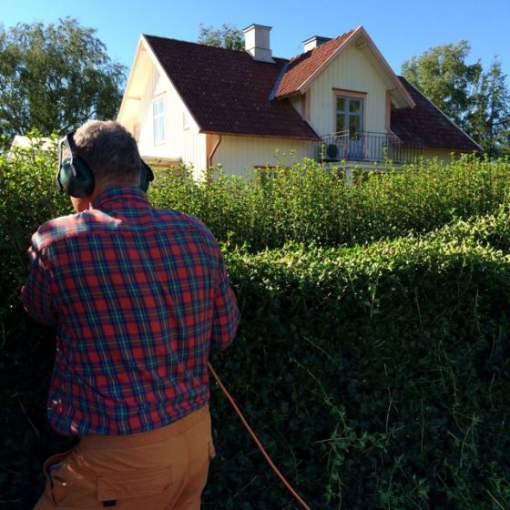 häck-klippning, rurik o huset