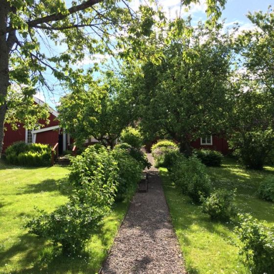 Trädgård Skänninge