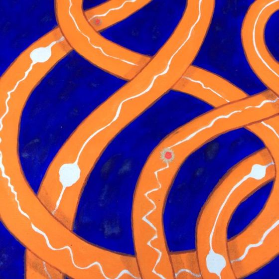 detalj, Chakra-Orm av Rurik Bladh