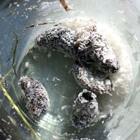 Snigel i burk och kokos