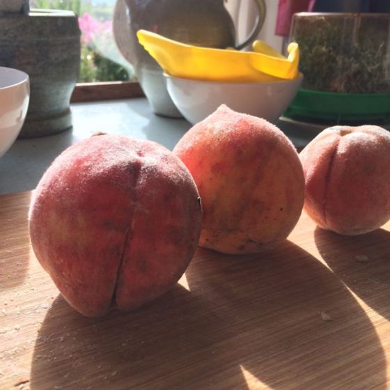 persikor sista augusti