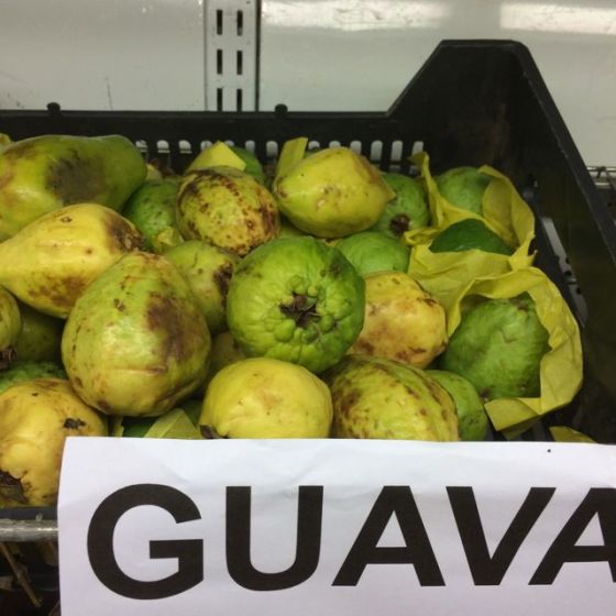 Guava