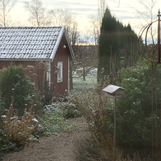 frostig trädgård