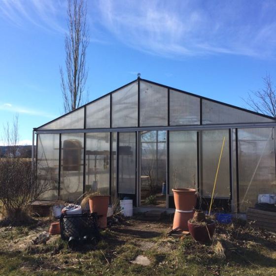 växthus, vår