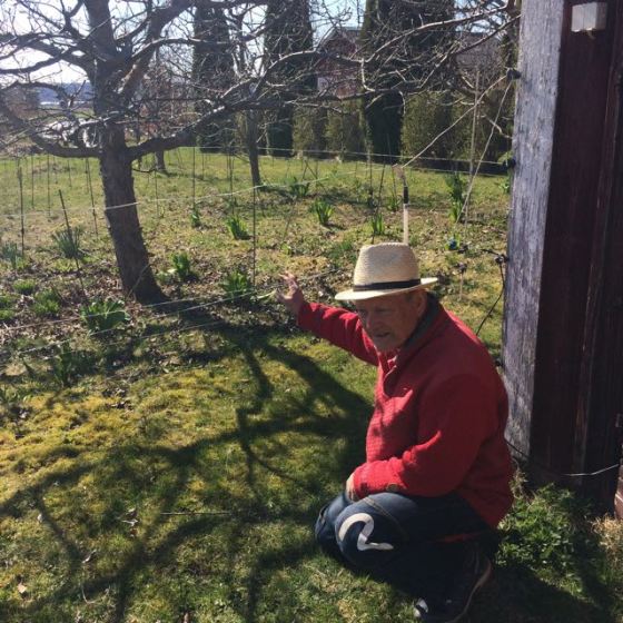 Rurik och tulpanerna