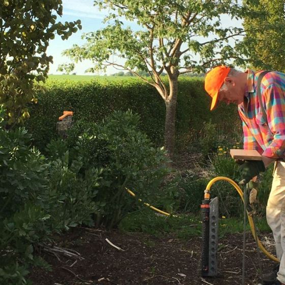 kväll i trädgården