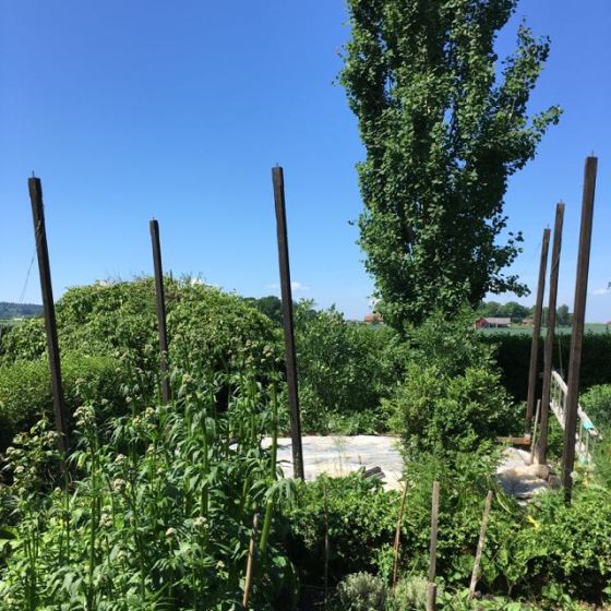 ställning till kålslottet