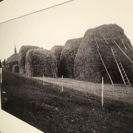 foto halmstackar från förr