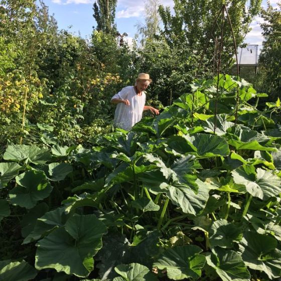 Pumpabädden 4 augusti