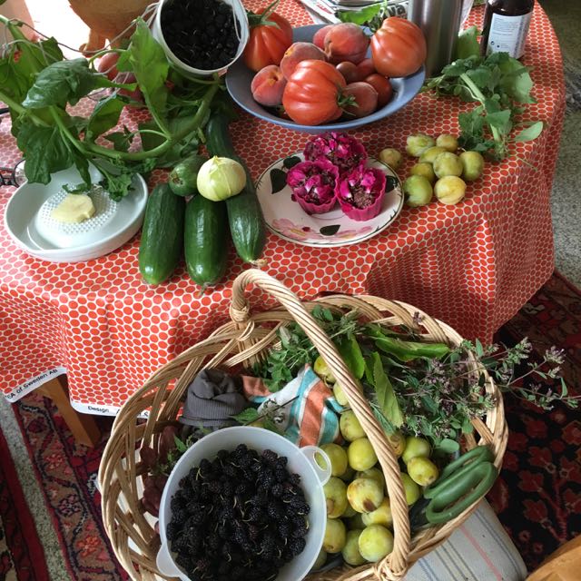 morgonplockning i trädgården 20 augusti