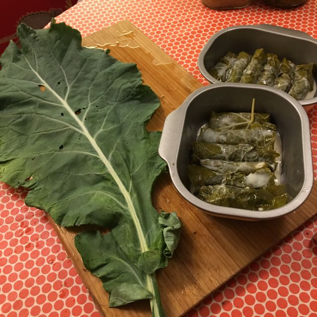 kålblad till gratängen