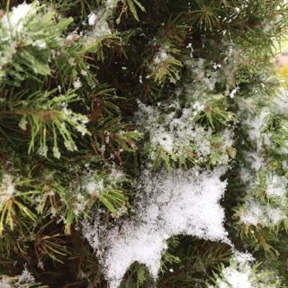 snö i april, Borghamn