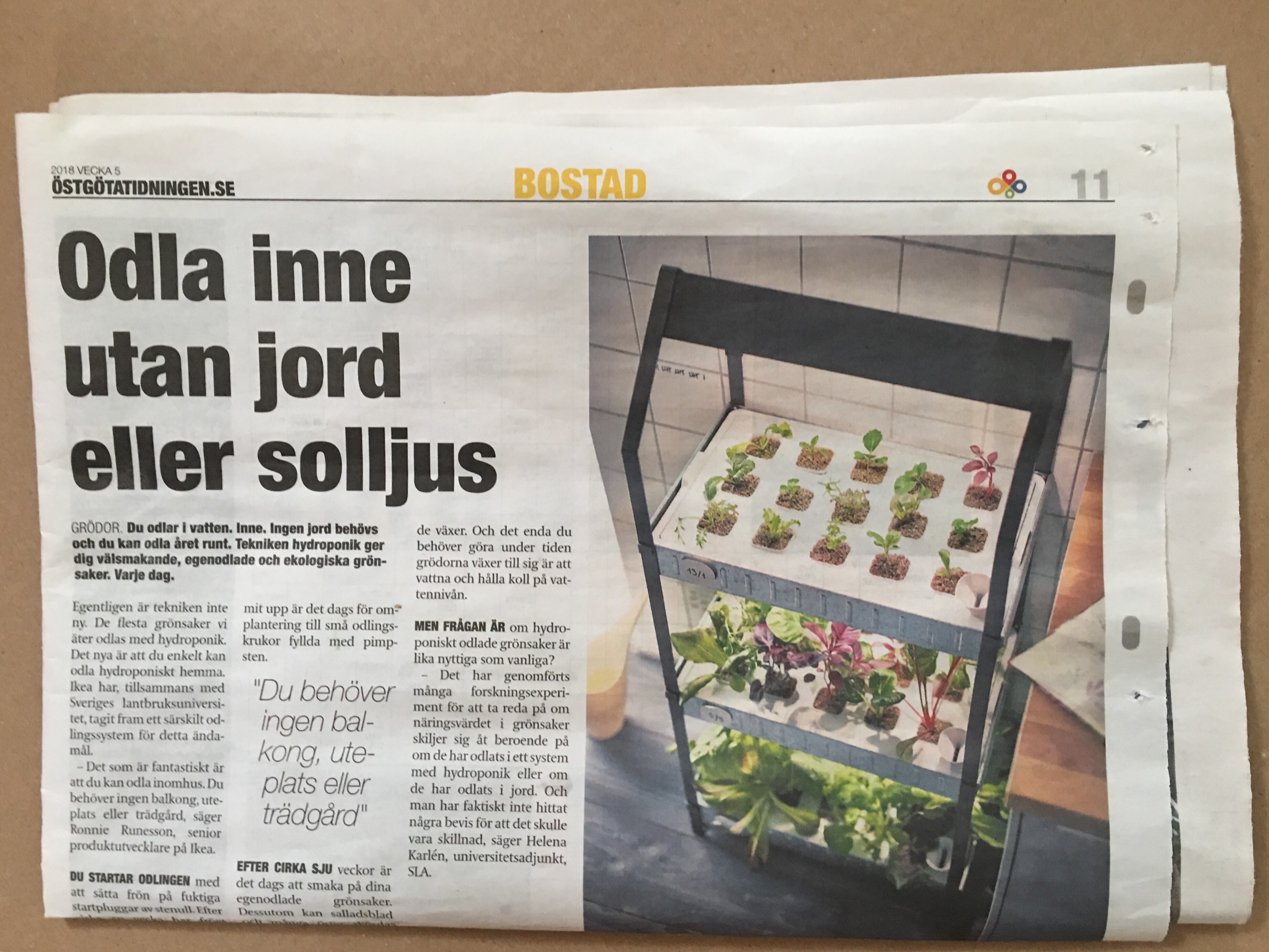 Artikel, IKEA Krydda