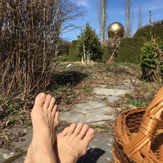 GuldBollen o trädgårdsvår