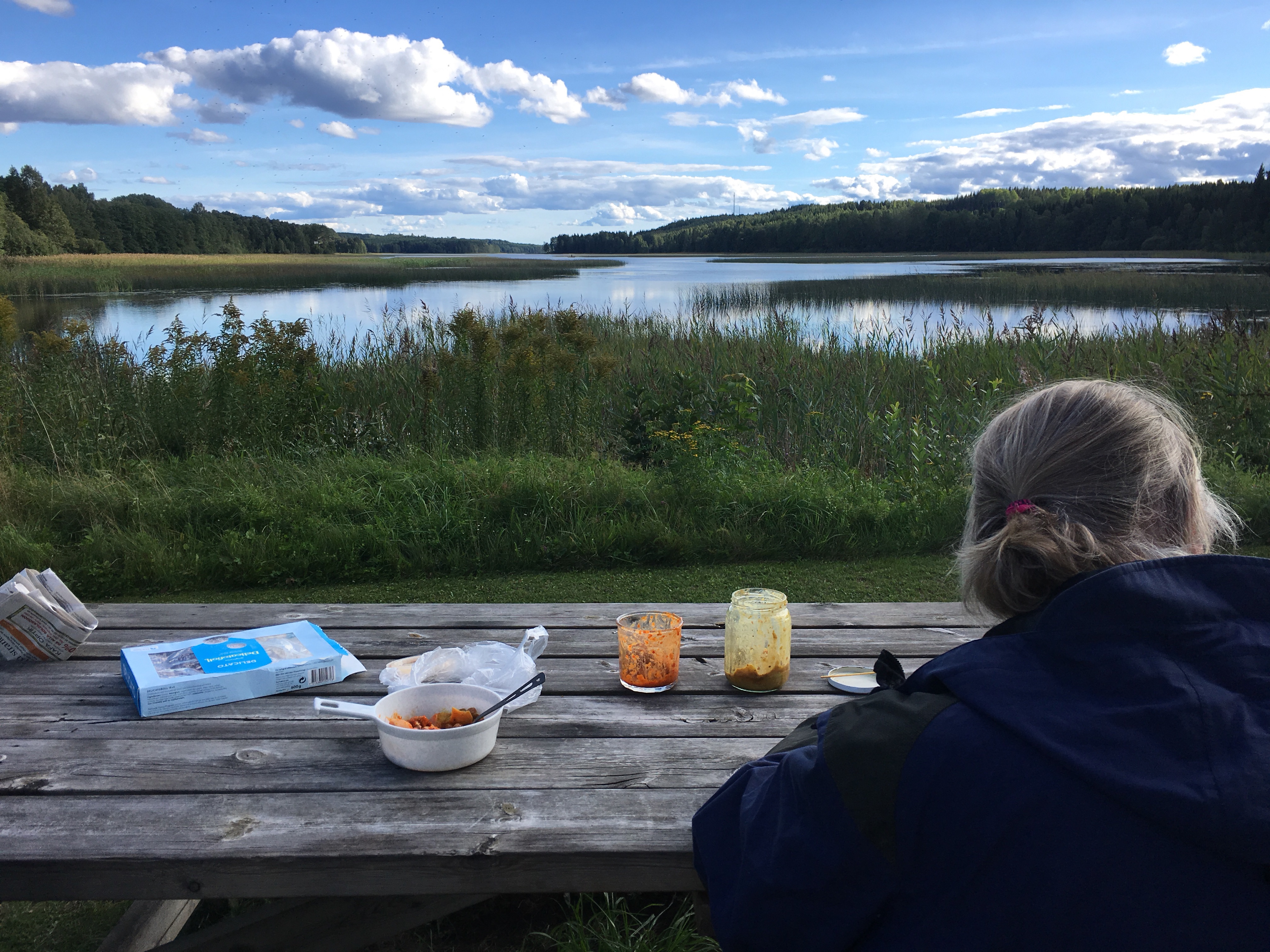 Resenär vid en sjö