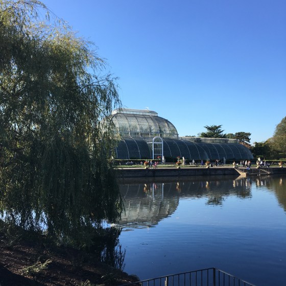 Kew Garden, tropik