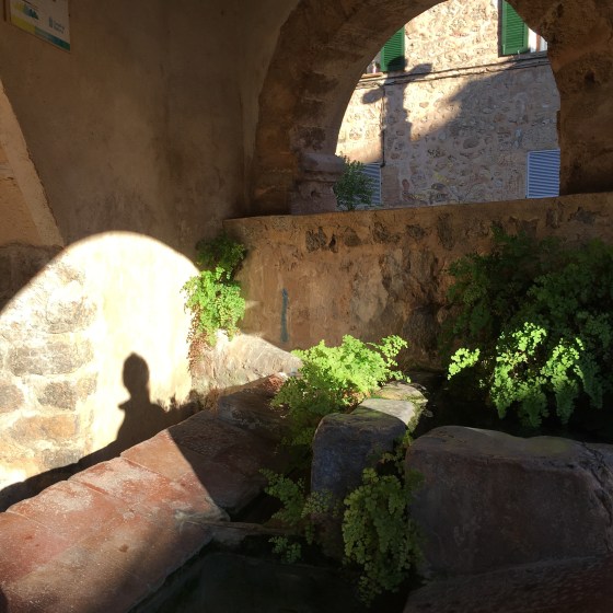 Skuggspel, Valldemossa