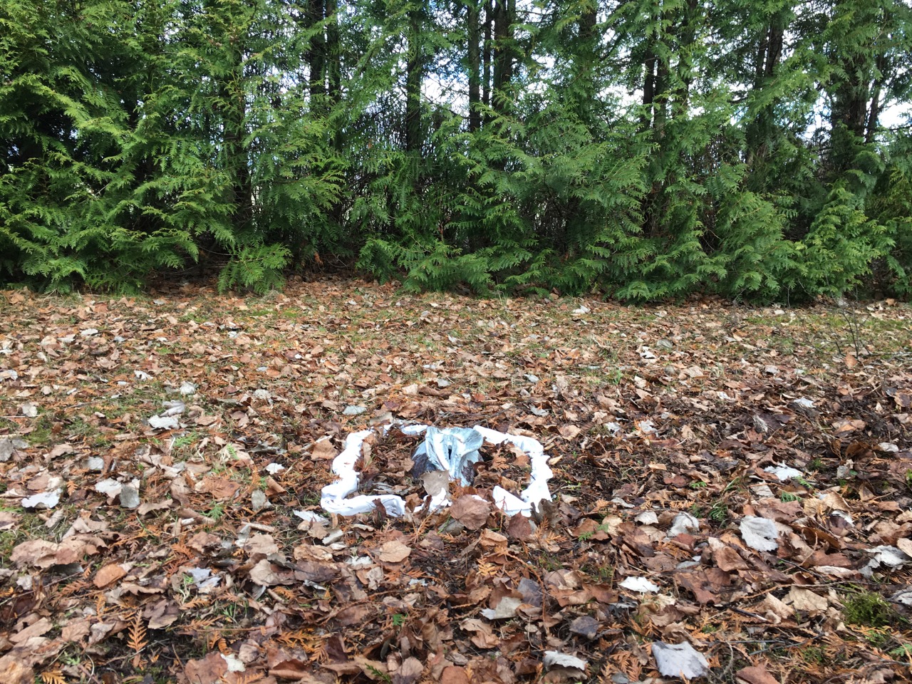 natur altare, vagina, gudinnan by Ganga