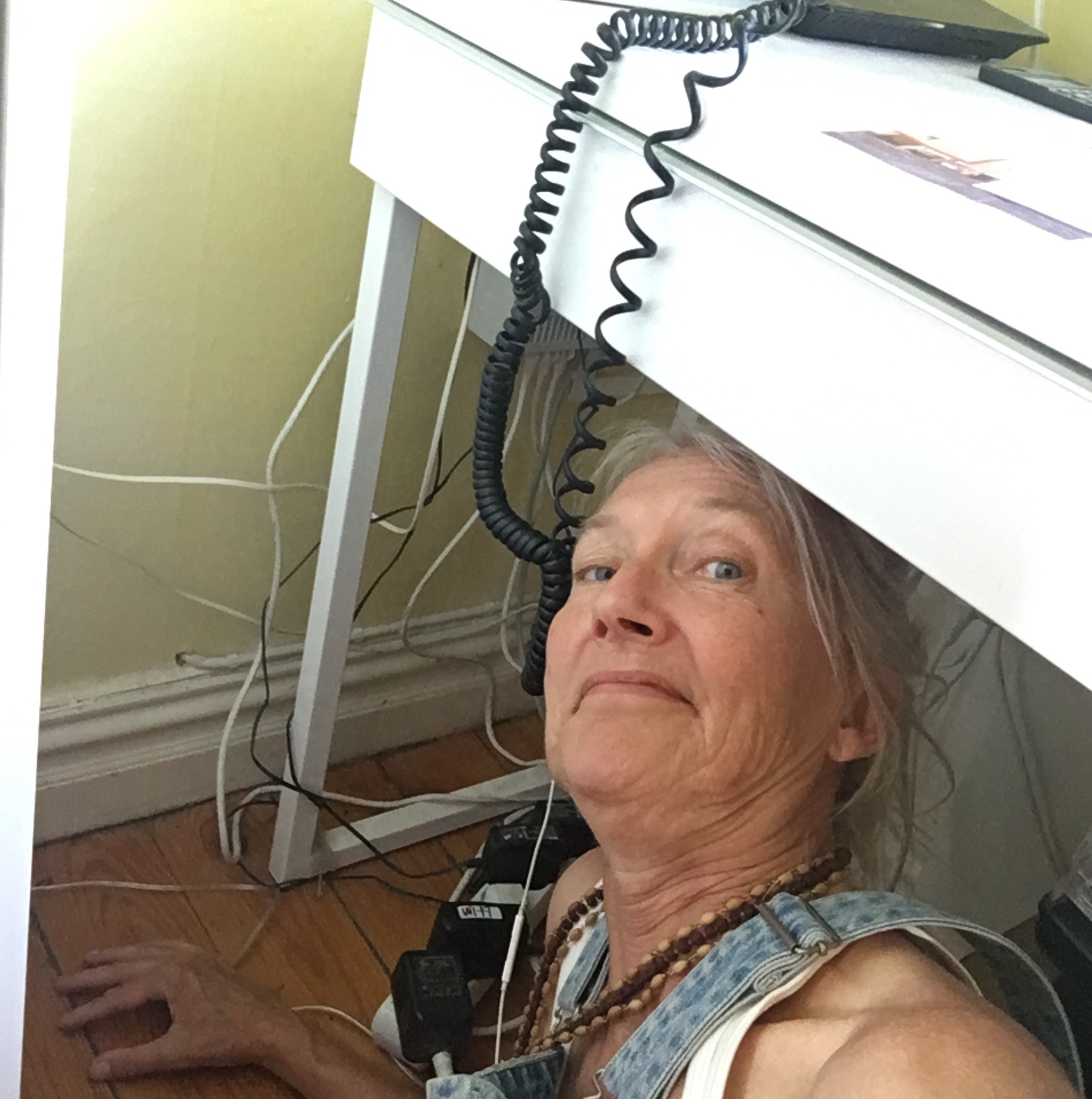 Ganga bland internetkablar