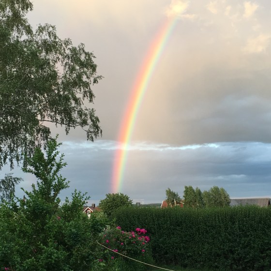 Regnbåge, midsommar