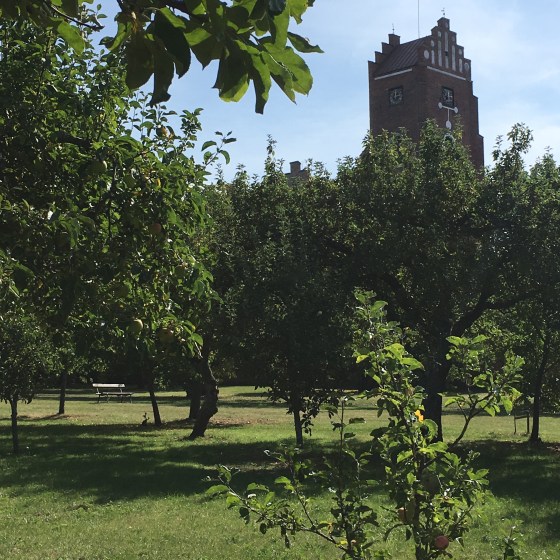 Klosterträdgården, Vadstena