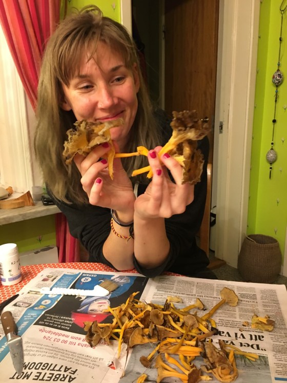 gul röd trumpetsvamp