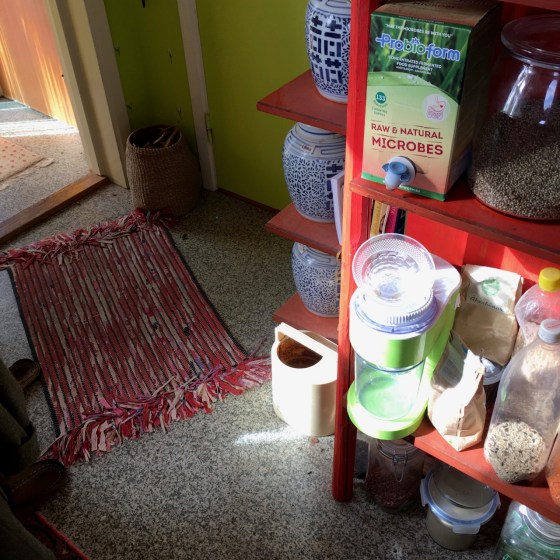 Probioform på kökshyllan