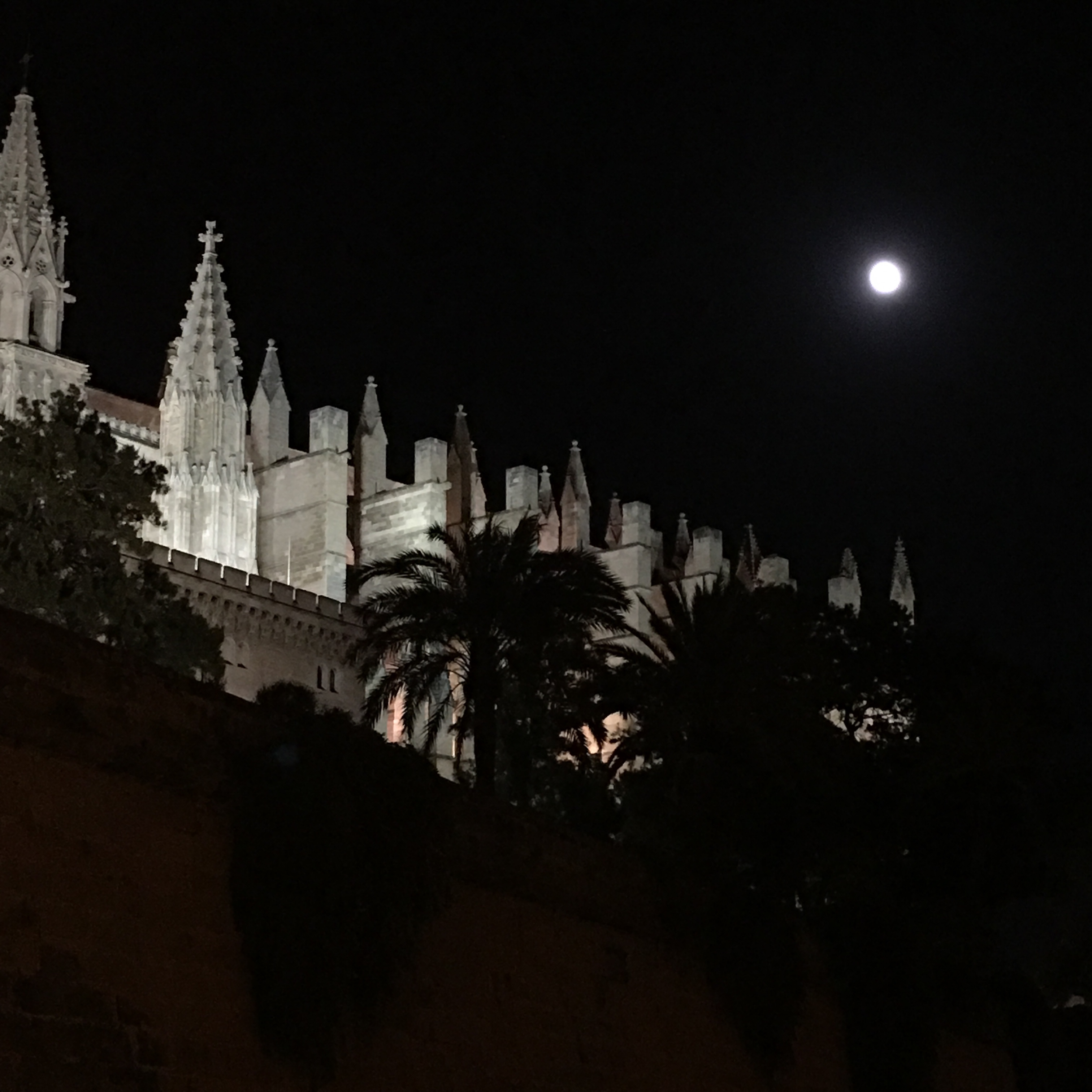 Fullmåne, katedralen i Palma