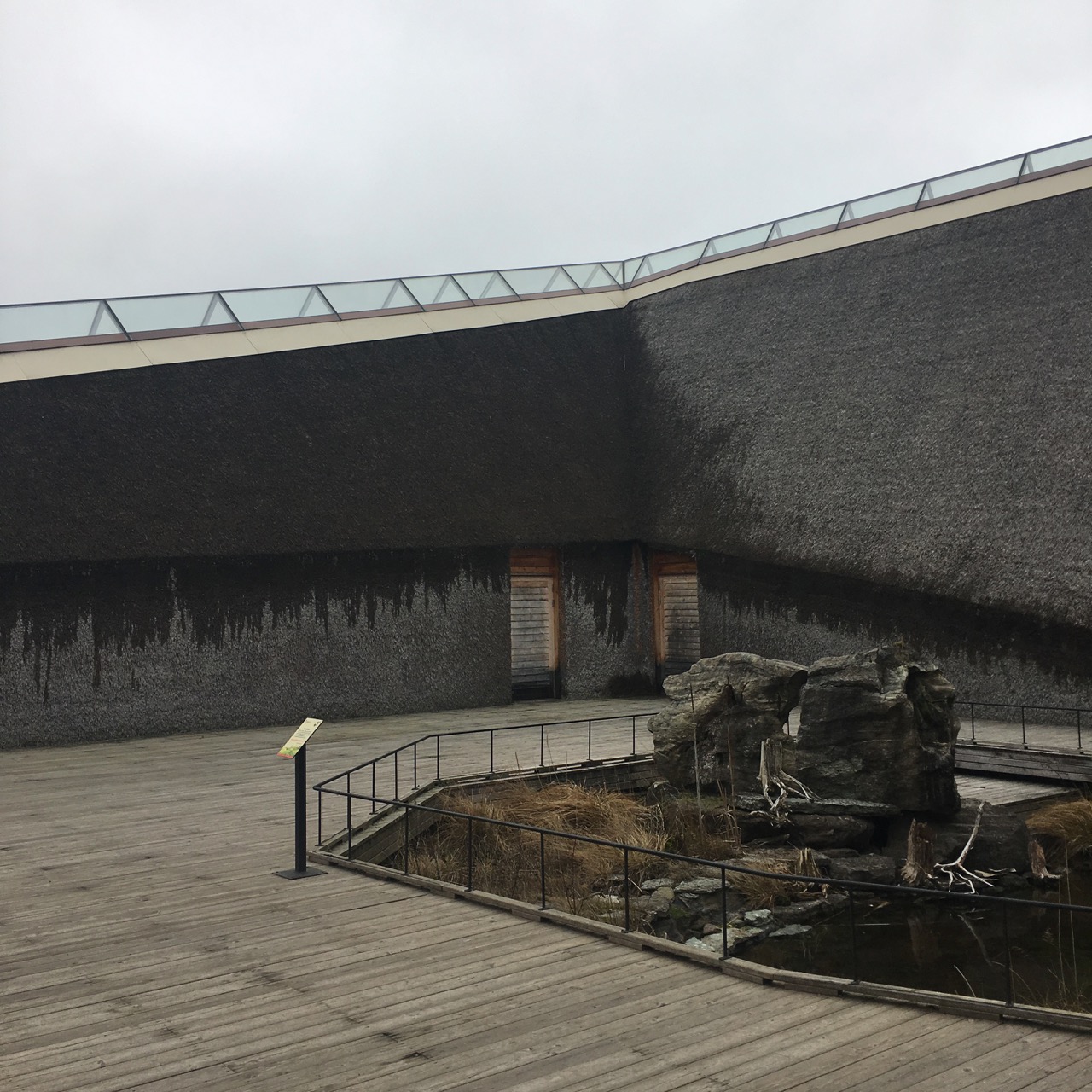 Vinter, narurum tåkern