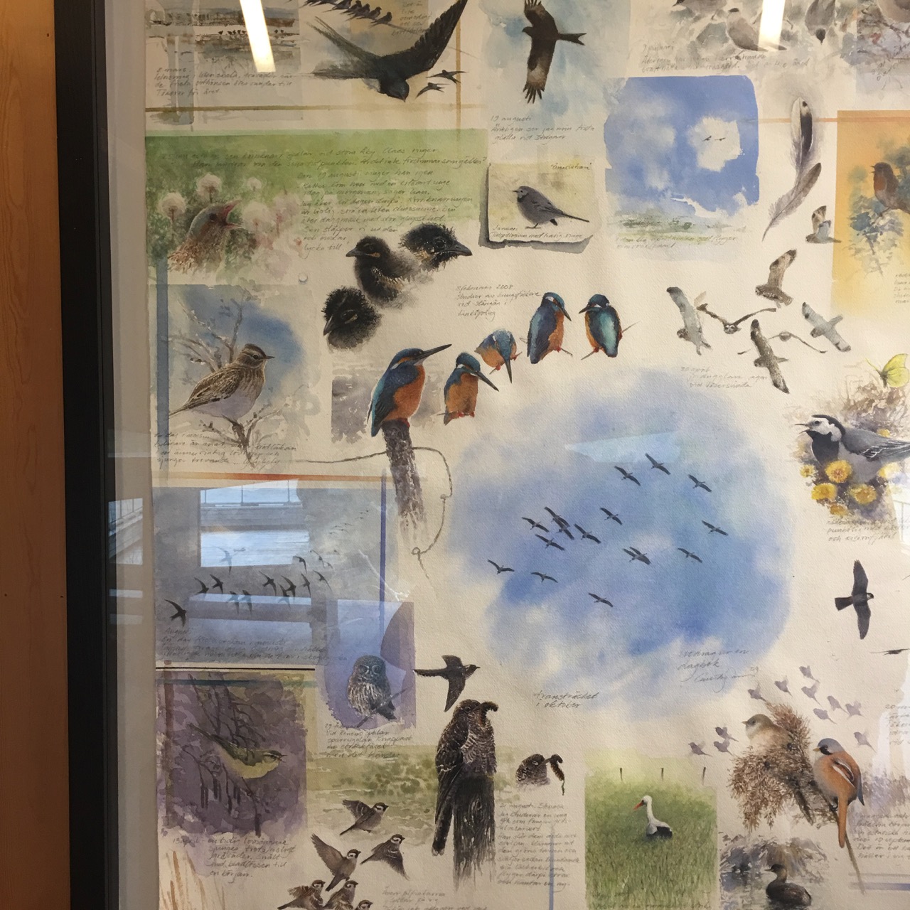 Gebbes stora fågelbild