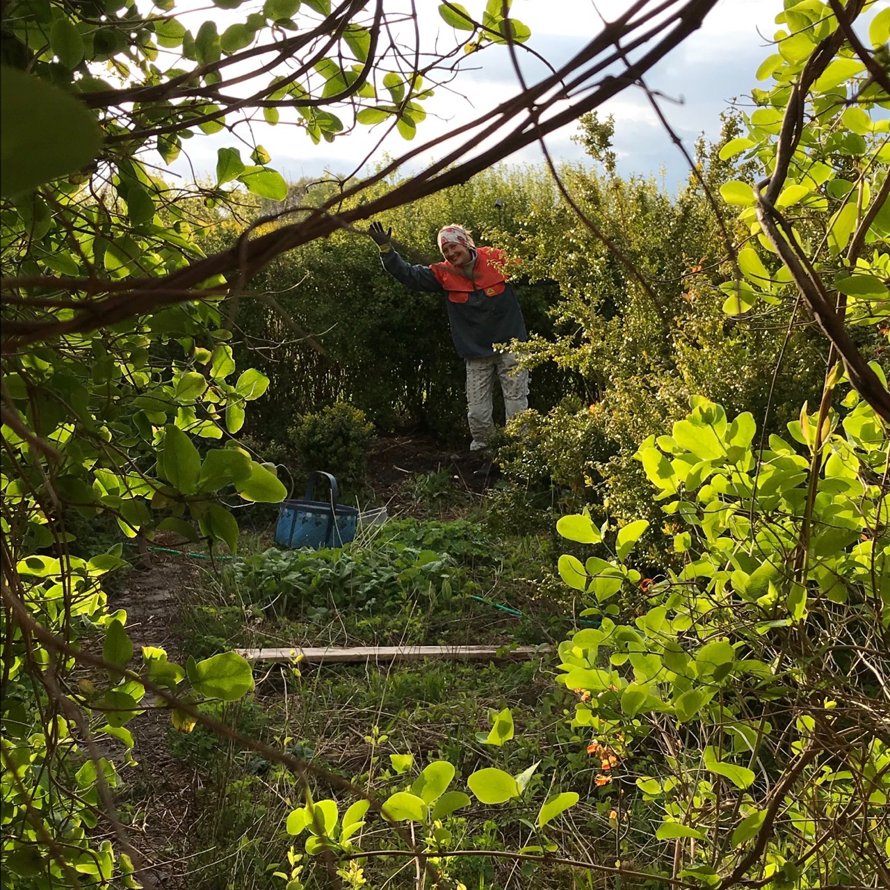 en plats i trädgården