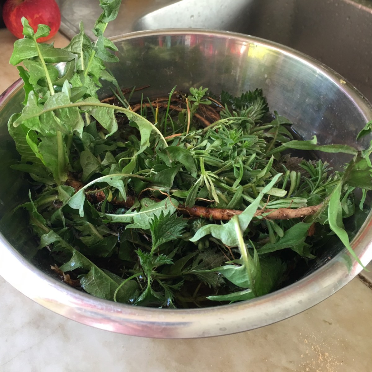 maskros, nässla och måra