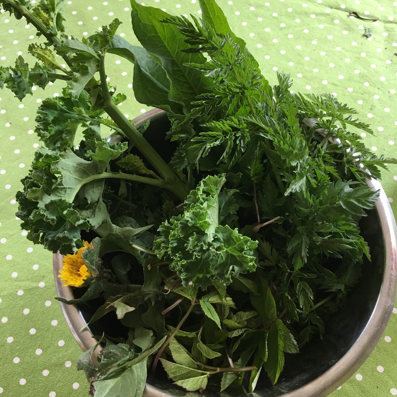 grönkål, maskros, syra, kirskål och hundkex 