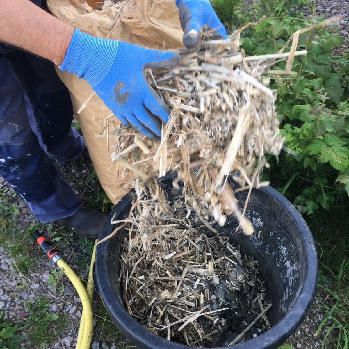 Hampaflis, så mkt som möjligt av fibrerna är borttagna